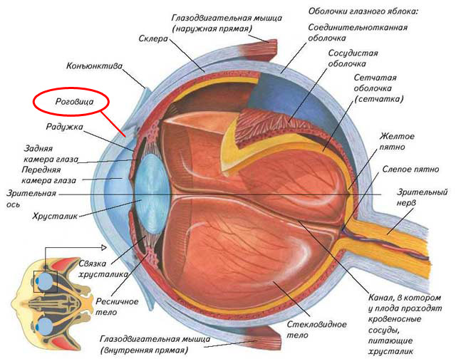 Операция роговицы глаза в москве